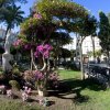 Plaza de Candelaria